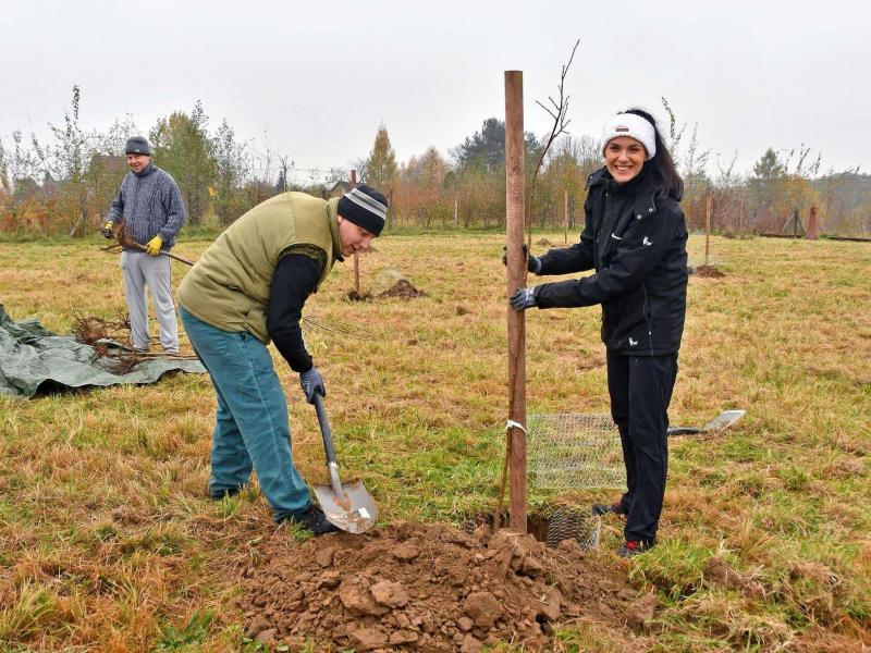 News - Podpořili jsme výsadbu ovocných stromů